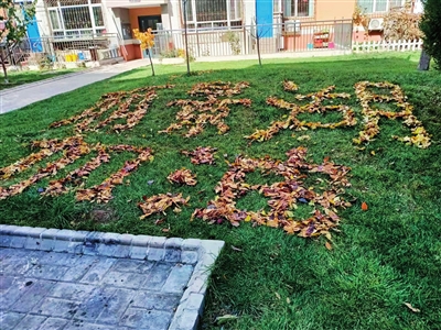 爱尚幻灯  10月30日,兴庆区丽景湖畔小区的地面上出现了三幅用树叶