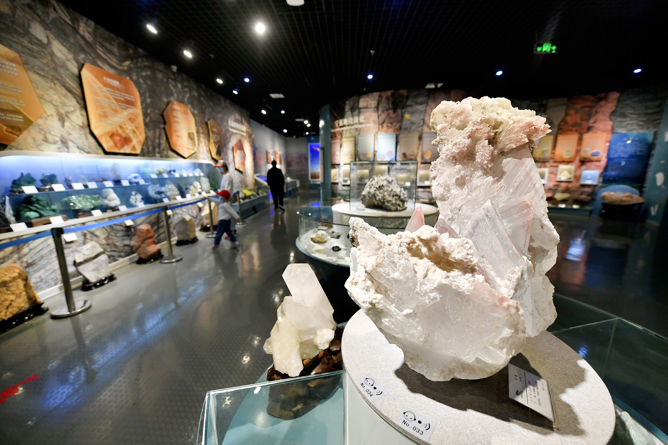 辽宁古生物化石博物馆图片